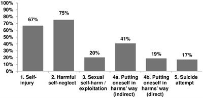 The five self-harm behavior groupings measure: empirical and thematic data from a novel comprehensive self-harm assessment